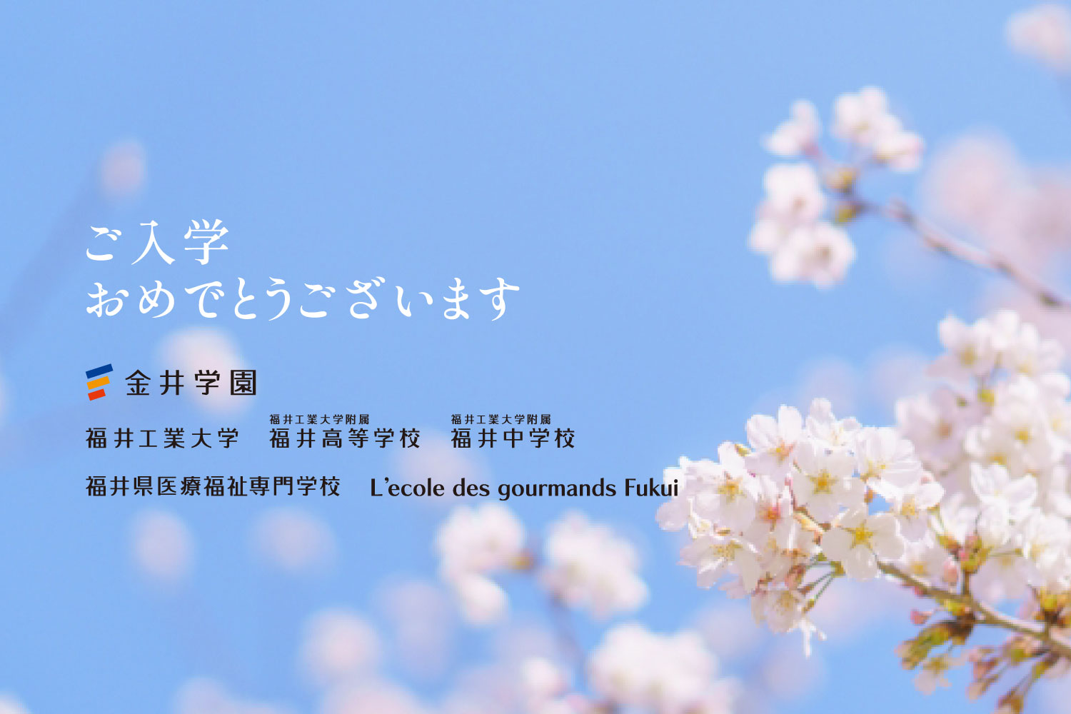 入学おめでとう