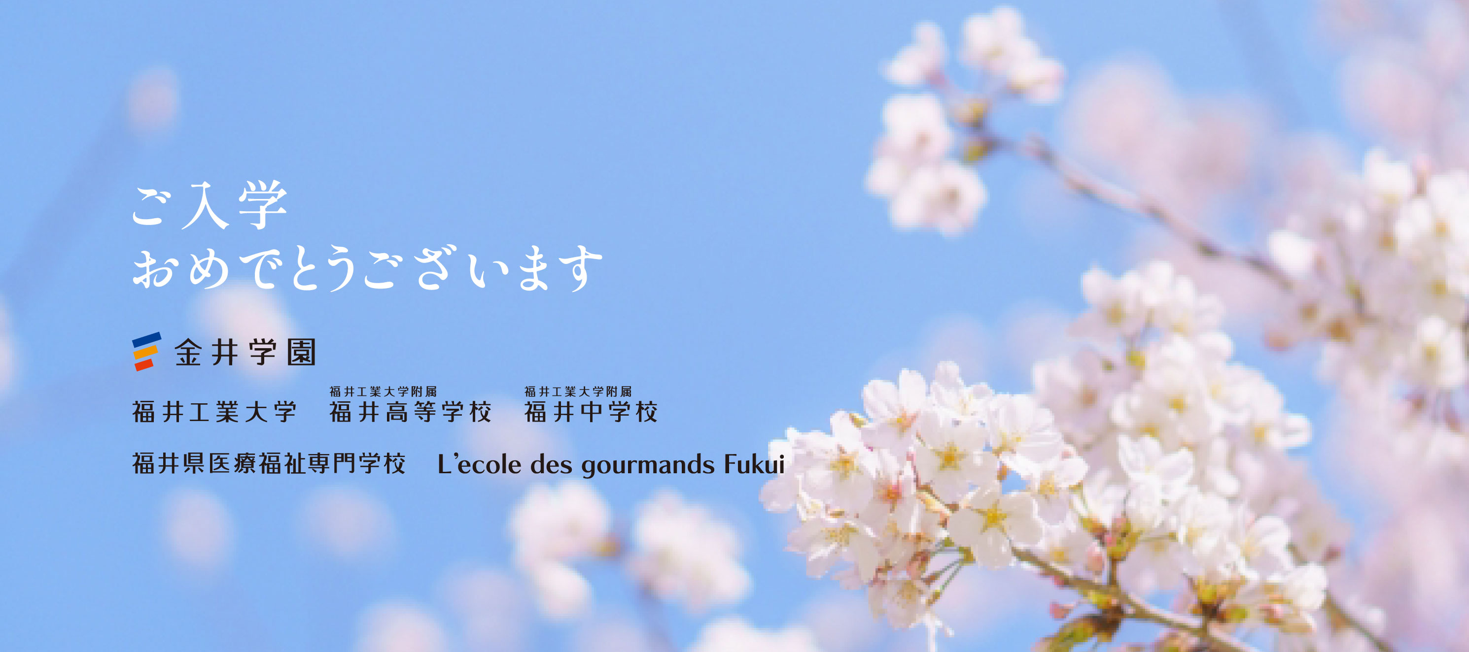 入学おめでとう